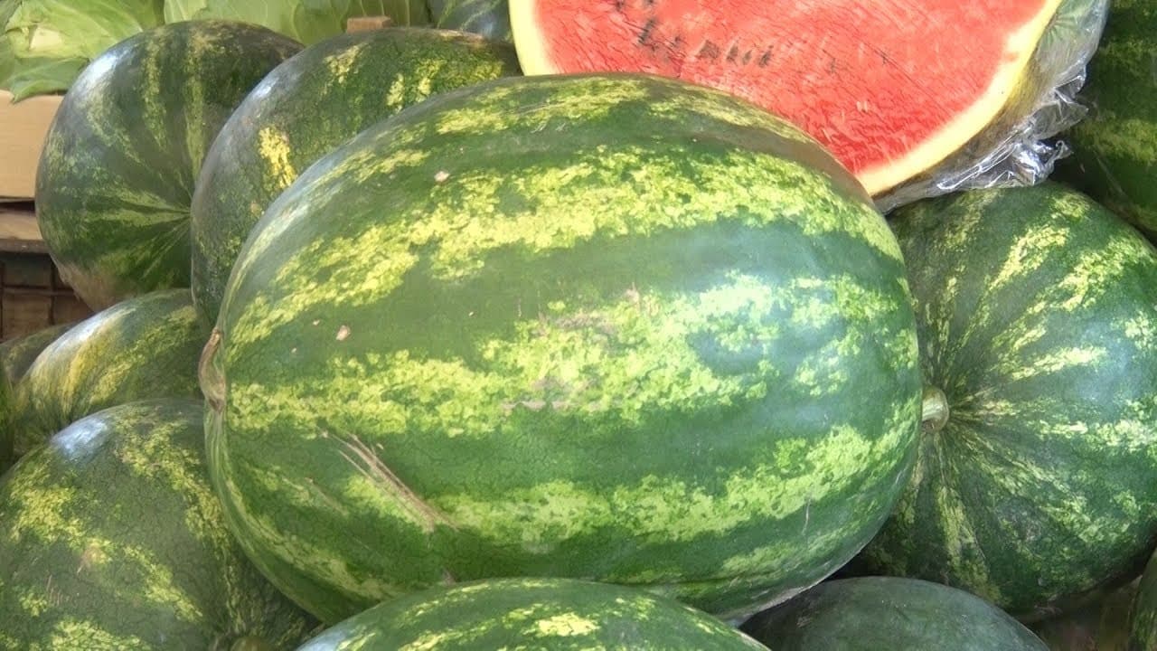 Lubenica pomaže u skidanju kilograma 