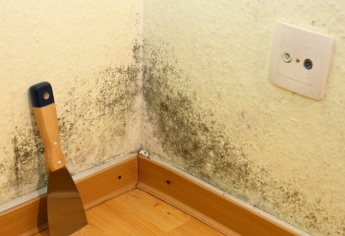 Znakovi da imate plijesan u kući, a toga niste ni svjesni 
