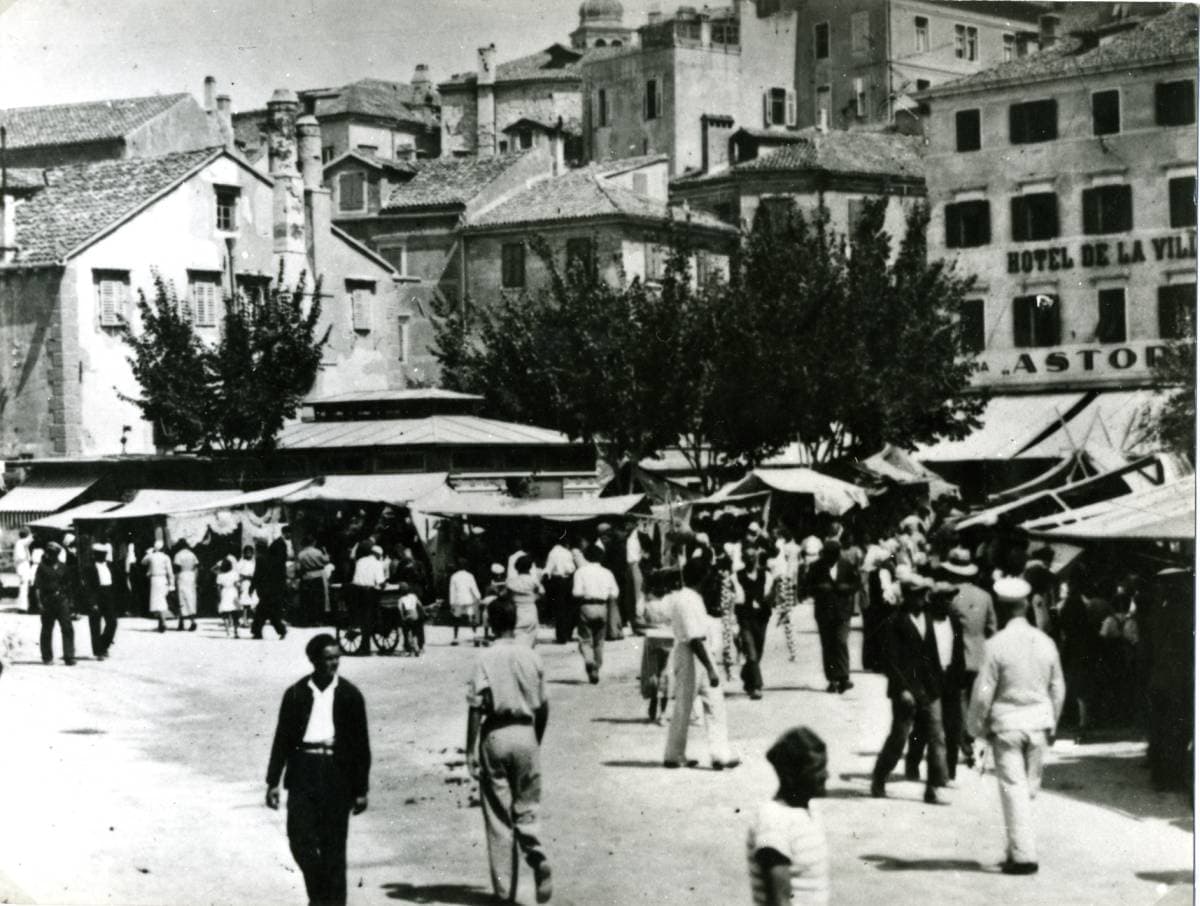Šibenski leksikon: Ćaća je malo ćuknut pa je iša na ćufit sakrit ćukter!