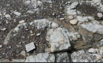 Tragovi ranog dinosaura pronađeni na plaži u Walesu 
