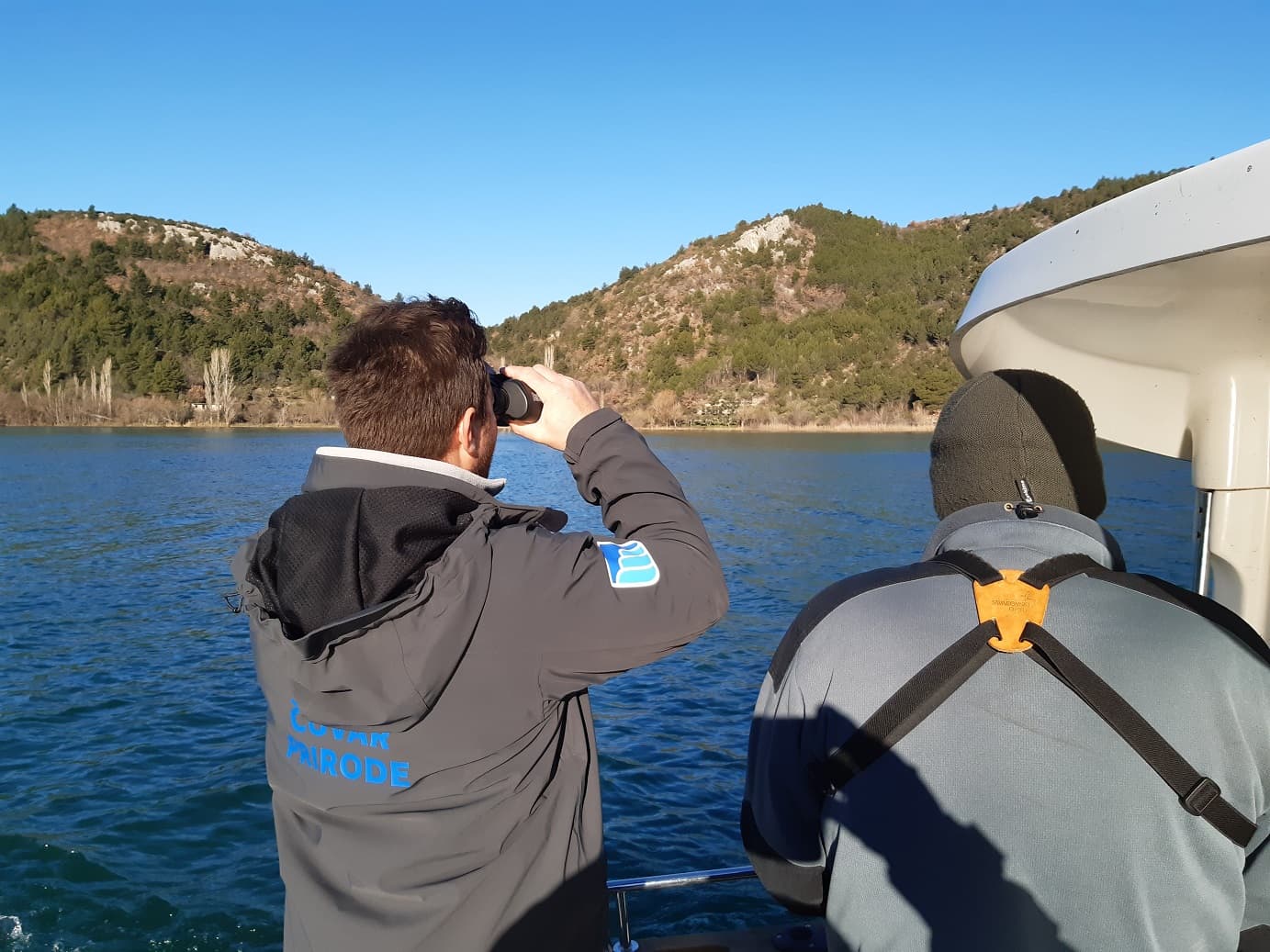 Zimsko prebrojavanje ptica vodarica u NP 'Krka': Zabilježene 33 vrste i 1900 jedinki