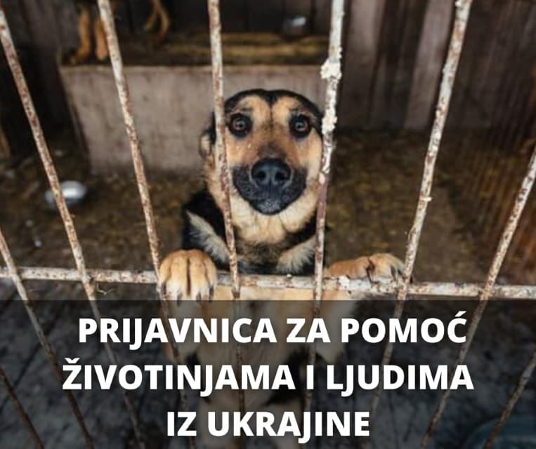 Ukrajini pomažu i udruge za životinje: Ako se želite uključiti, ispunite prijavnicu 