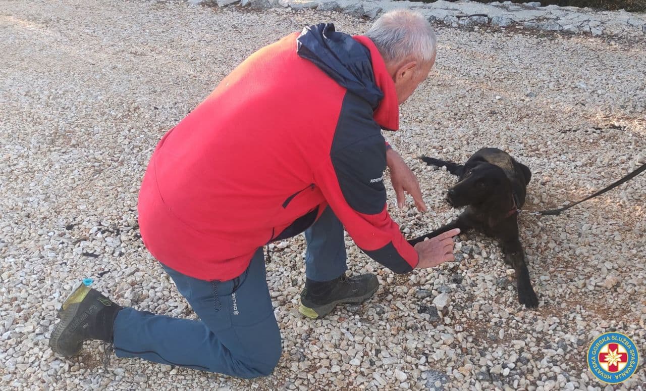 Mladi potražni pas HGSS stanice Šibenik Tunja uspješno položila svoj prvi ispit