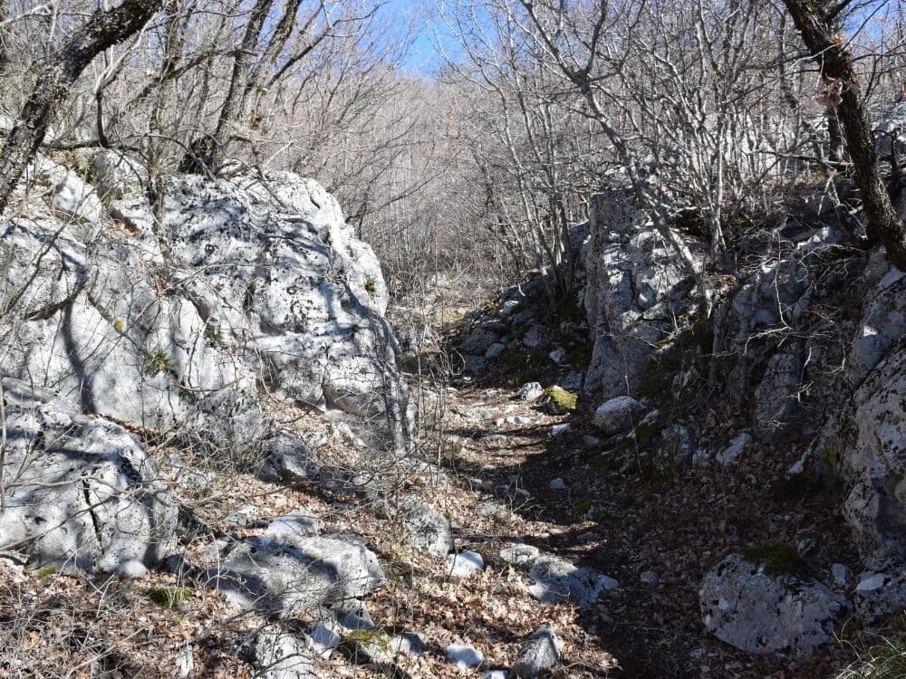 Pridružite se obnovi staze na Dinari i naučite kako se gradi suhozid