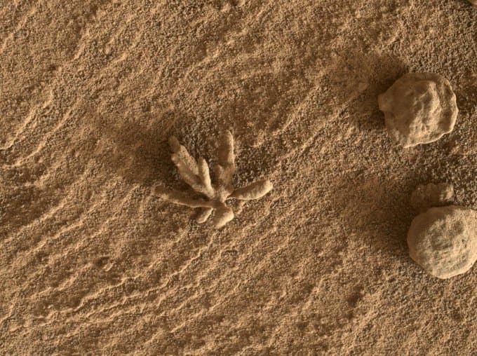 Rover Curiosity na Marsu snimio 'kameni cvijet': O čemu se radi? 