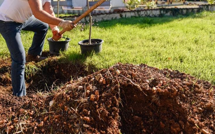 Ovaj oglas od jučer se širi društvenim mrežama: U vodičkoj poliklinici zapošljavaju seljaka/seljakinju