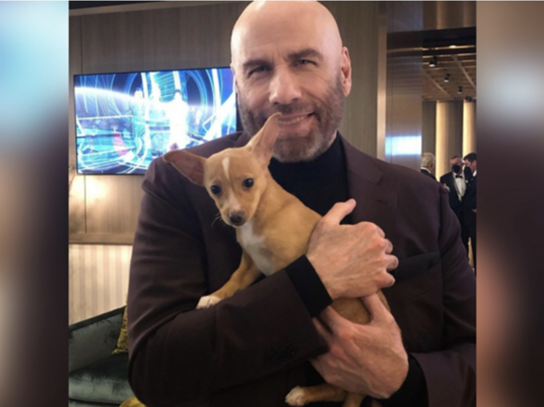 Slatki psić 'upao' na dodjelu Oscara, udomio ga je John Travolta