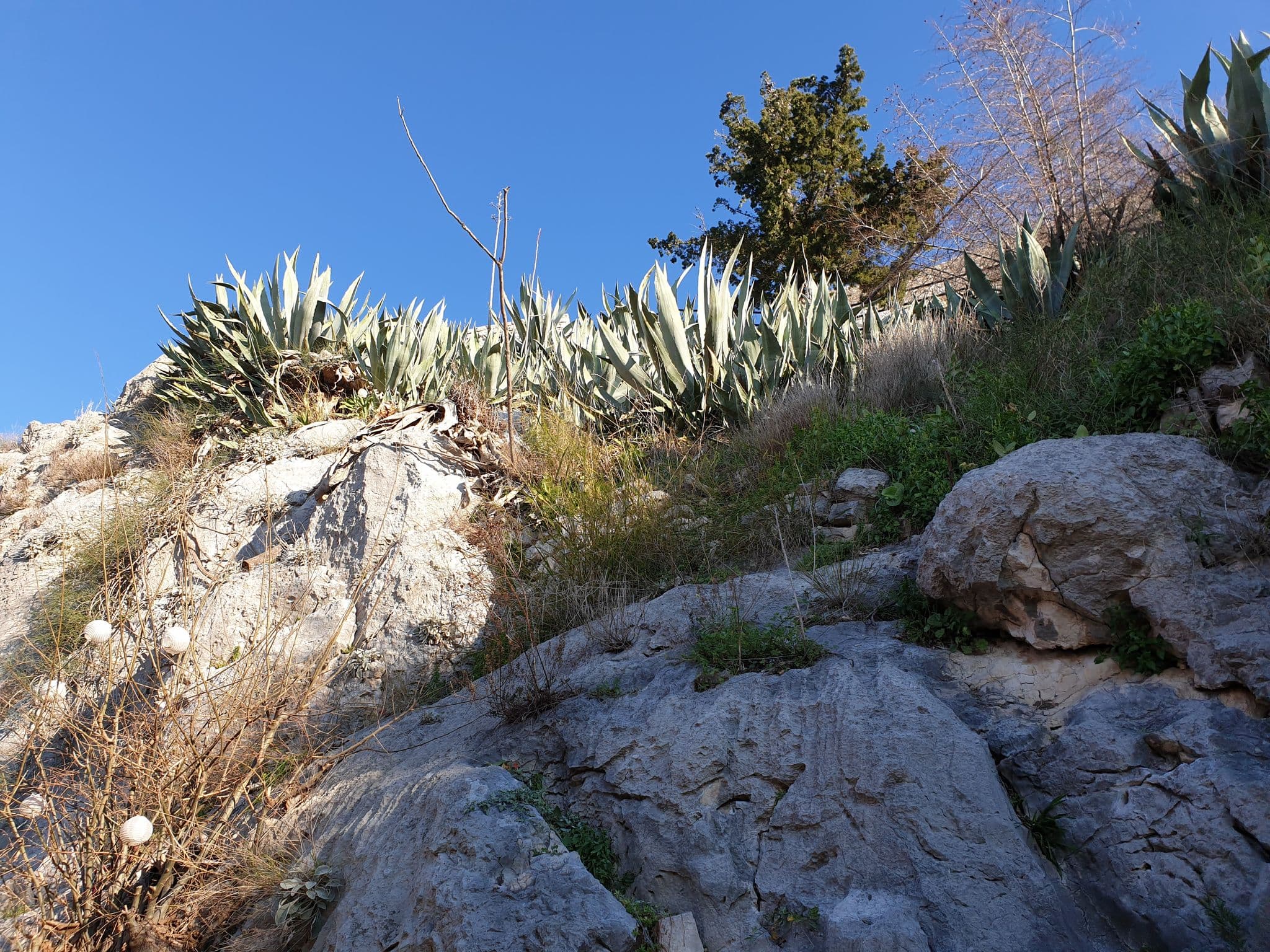 Agave i stijene podno sv. Mihovila ugrožavaju dvije kuće i nekoliko obitelji