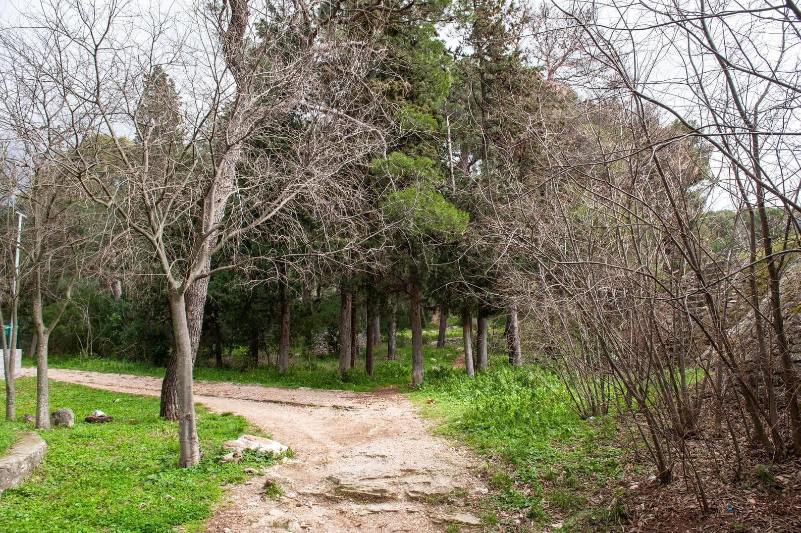 Flora Dalmatica u srijedu vas vodi u šetnju urbanom šumom Šubićevac