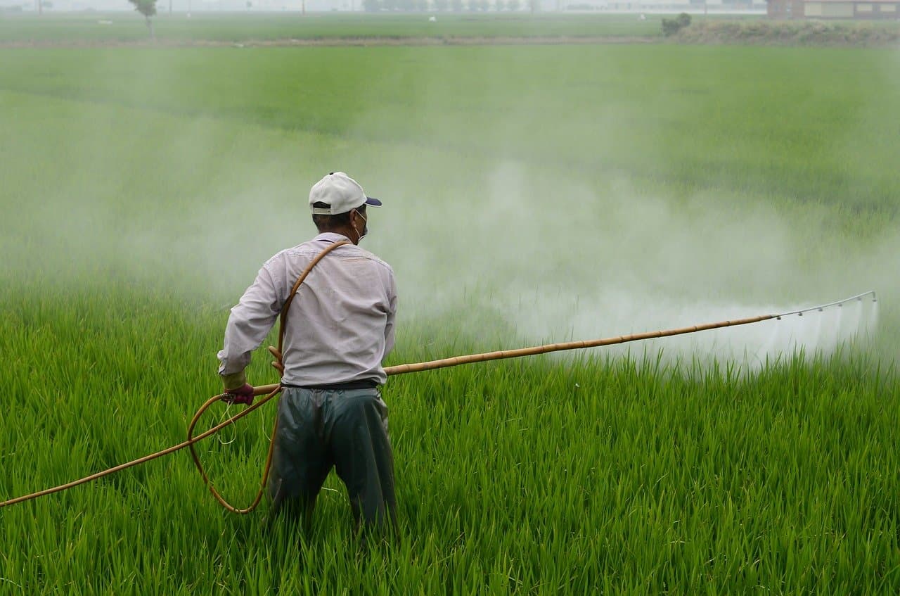 Zabranjeno voće! 'Zemljane staze' u borbi protiv 55 opasnih pesticida na EU tržištu