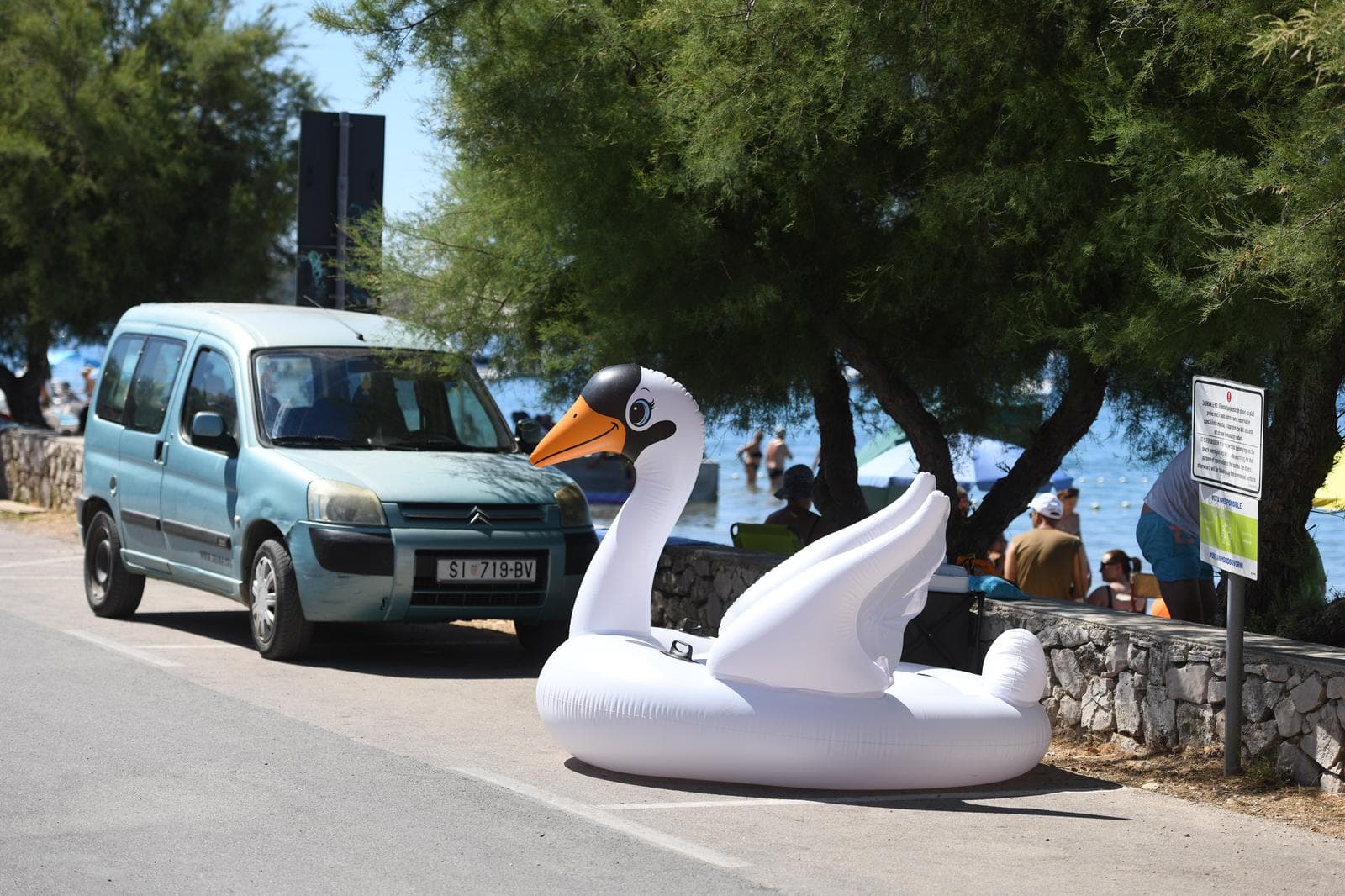 Zanimljiv prizor na Srimi: Ono kad ti labud čuva parking