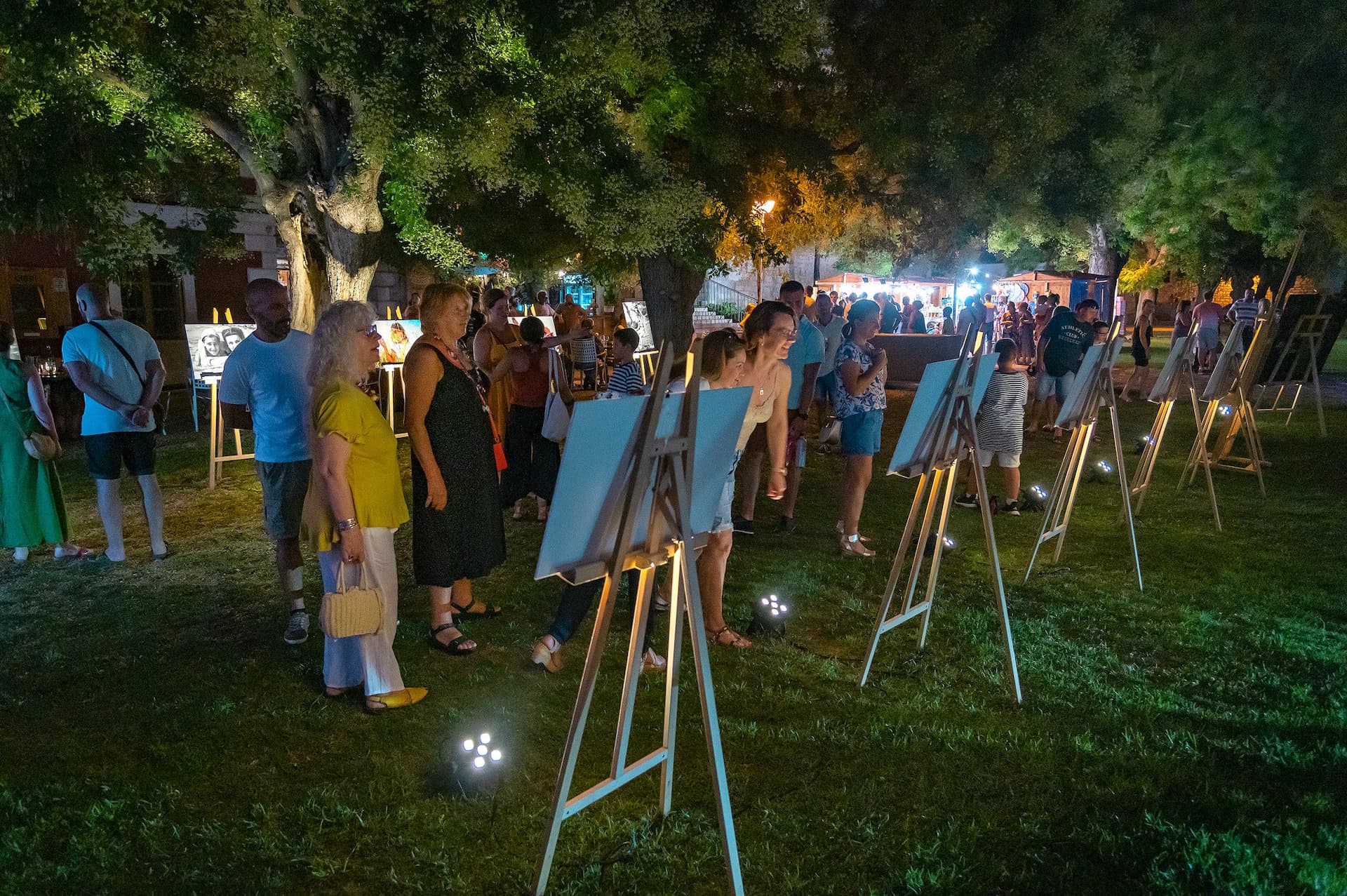 Razgovori ugodni na relaciji Karlovac - Šibenik. Sredstvo komunikacije - umjetnost!