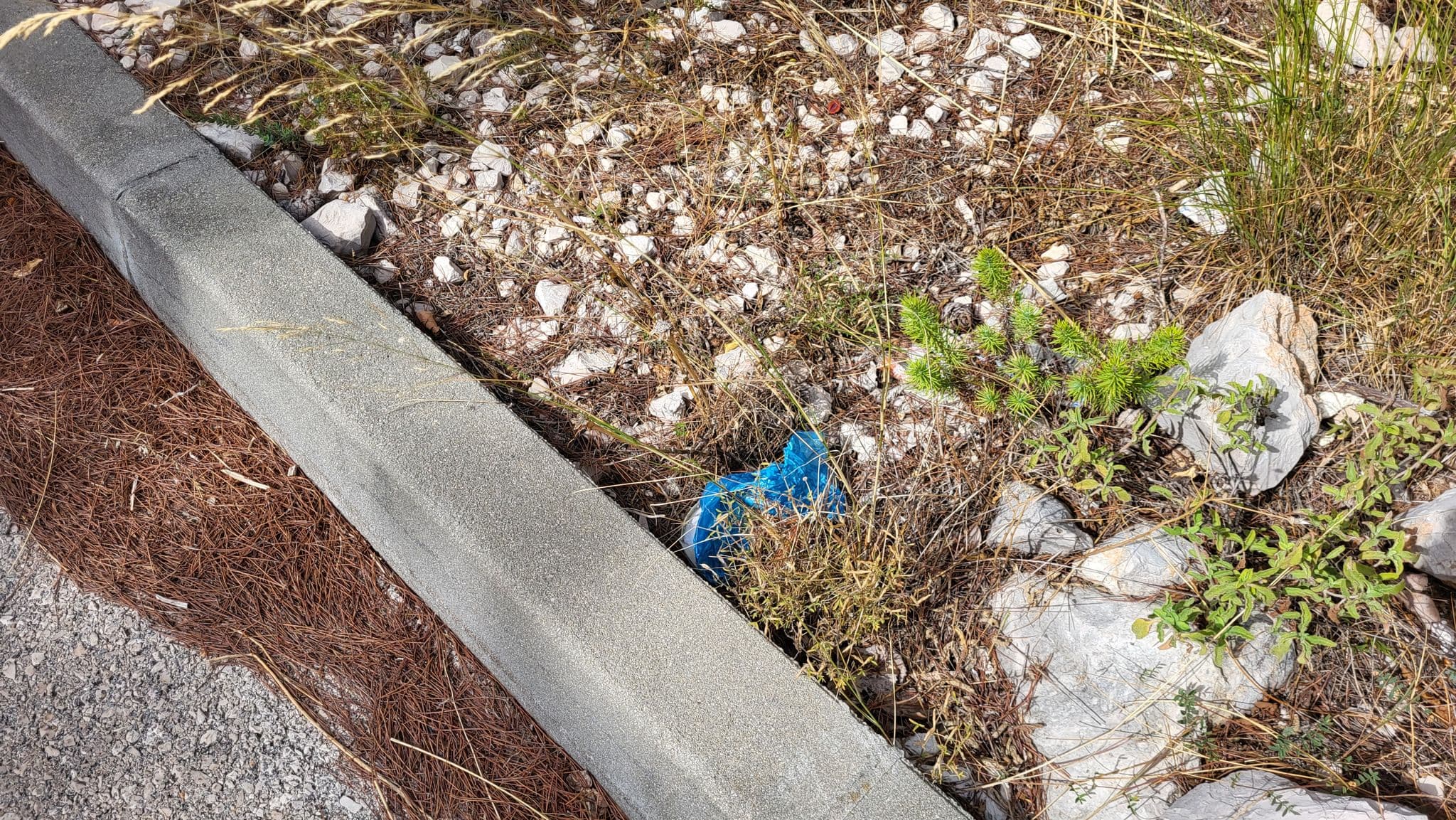 Sve više vlasnika pasa u Šibeniku usvaja novi trend: Dvostruko onečišćenje ulica i okoliša