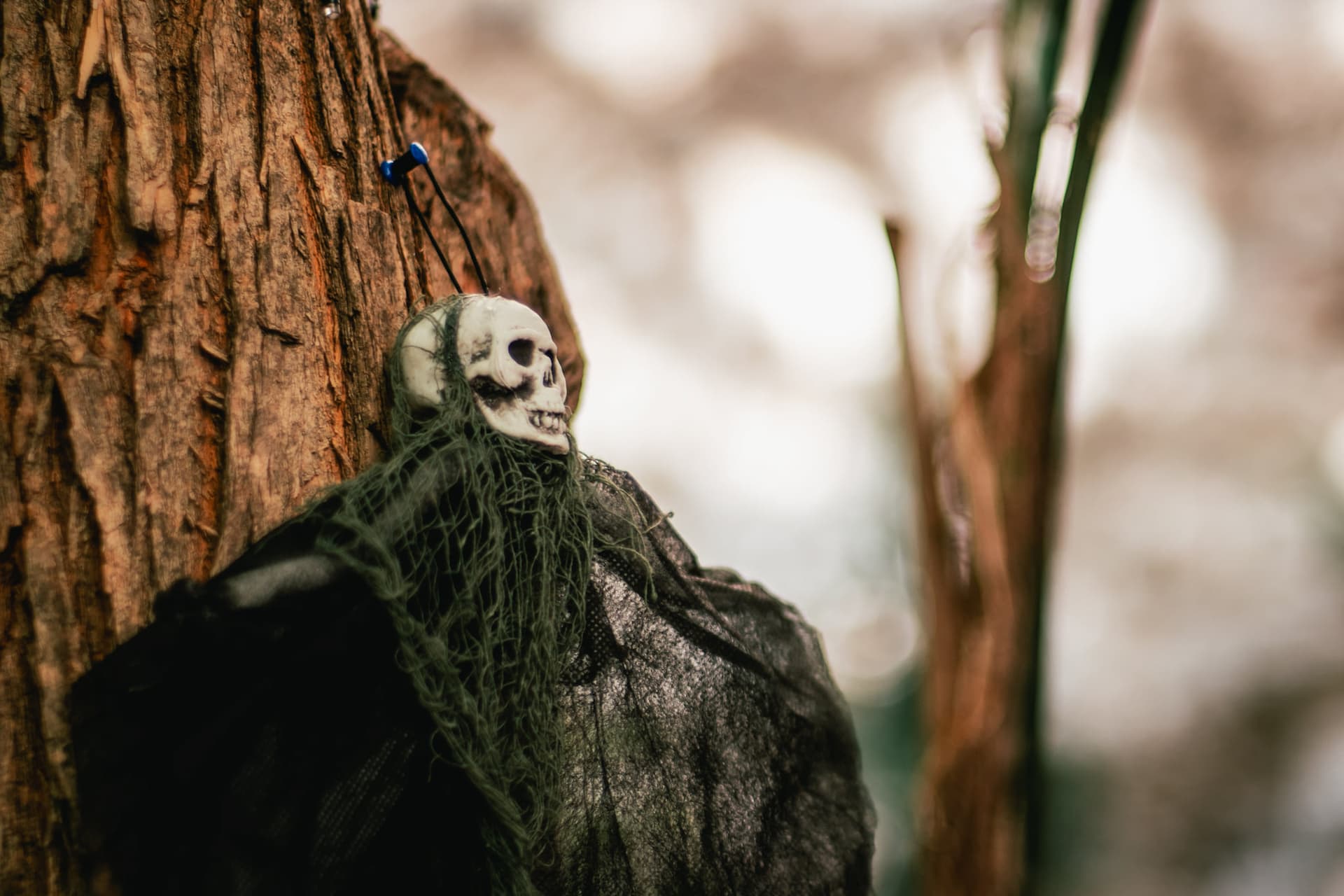 U Šibeniku sutra možete na zabavu za Halloween ili na molitvu na Holywin
