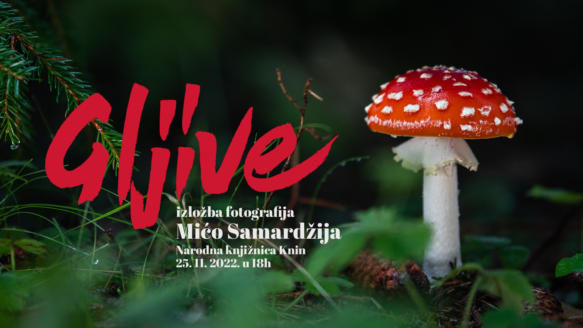 U kninskoj knjižnici izložba fotografija Miće Samardžije: 'Uronite u zanimljivi svijet gljiva'