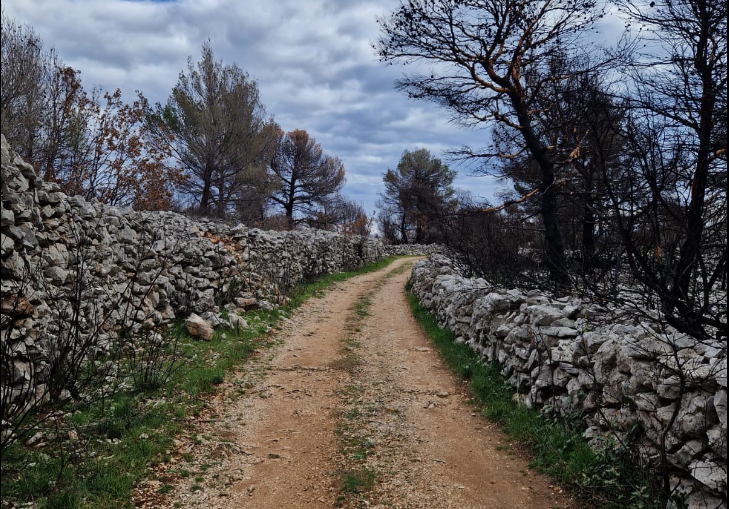 Traju prijave za 3. kolo Adventure sport lige – Izaberi sport!: Utrka 'Kameno doba' 