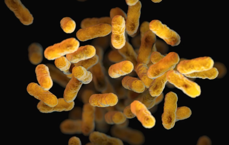 U Europi raste broj zaraza Escherichijom coli otpornom na antibiotike 
