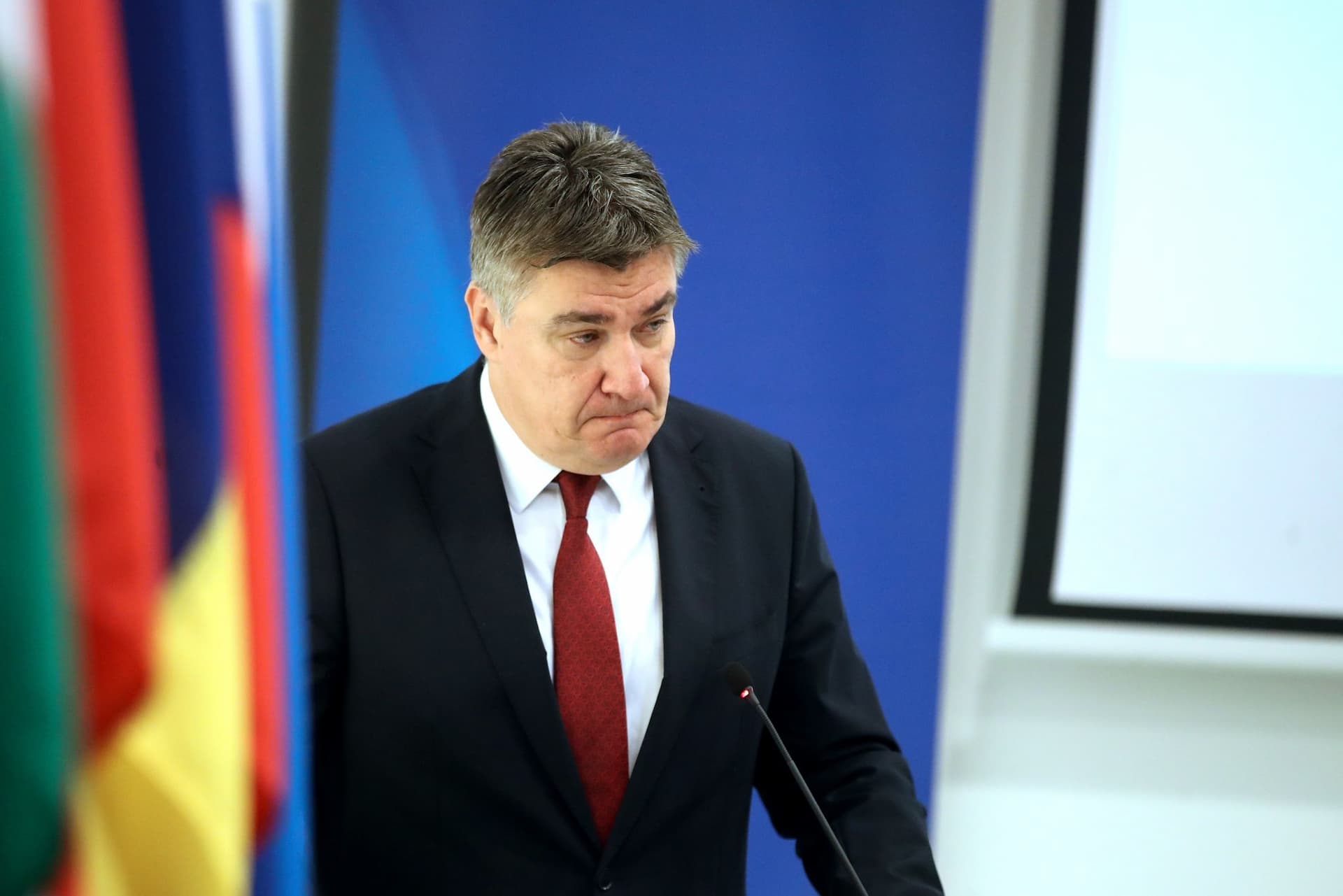 Milanović prvo desetljeće Hrvatske u EU ne smatra ni uspjehom i neuspjehom