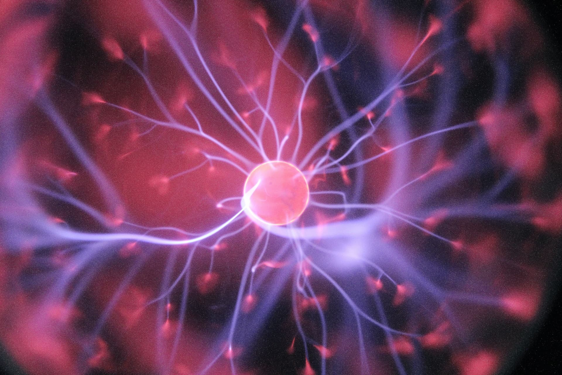Zeleno svjetlo za implantante Neuralink: Musk može početi testiranje na ljudima