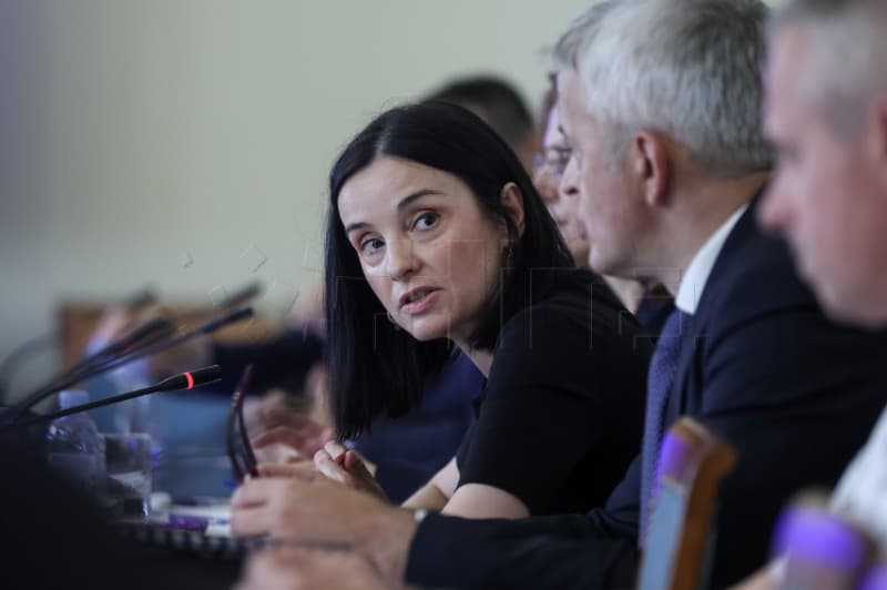 Vlada će nadoknaditi štete i pomoći u oporavku uzgoja svinja