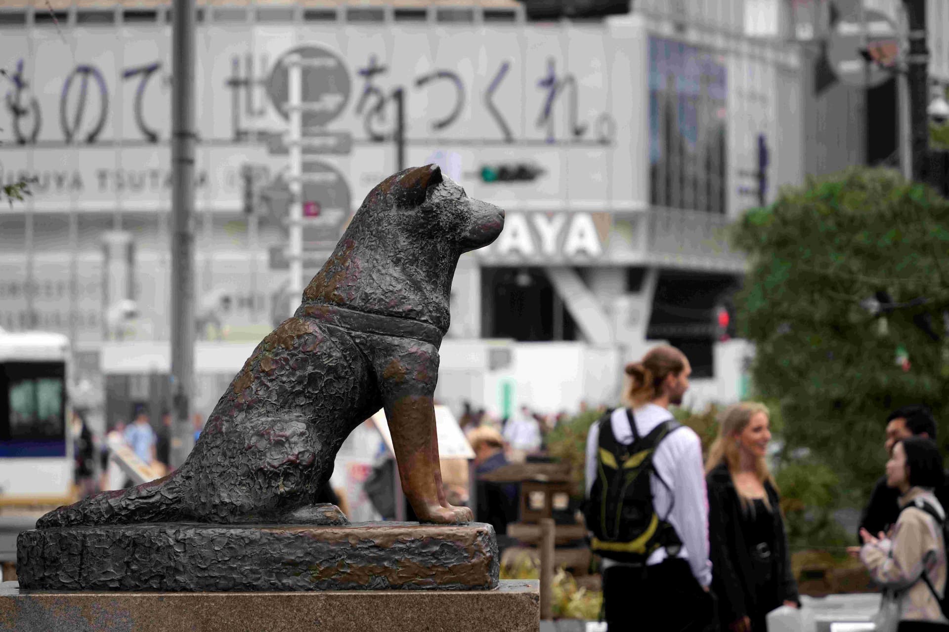 Hachiko, najvjerniji pas na svijetu danas bi proslavio 100. rođendan