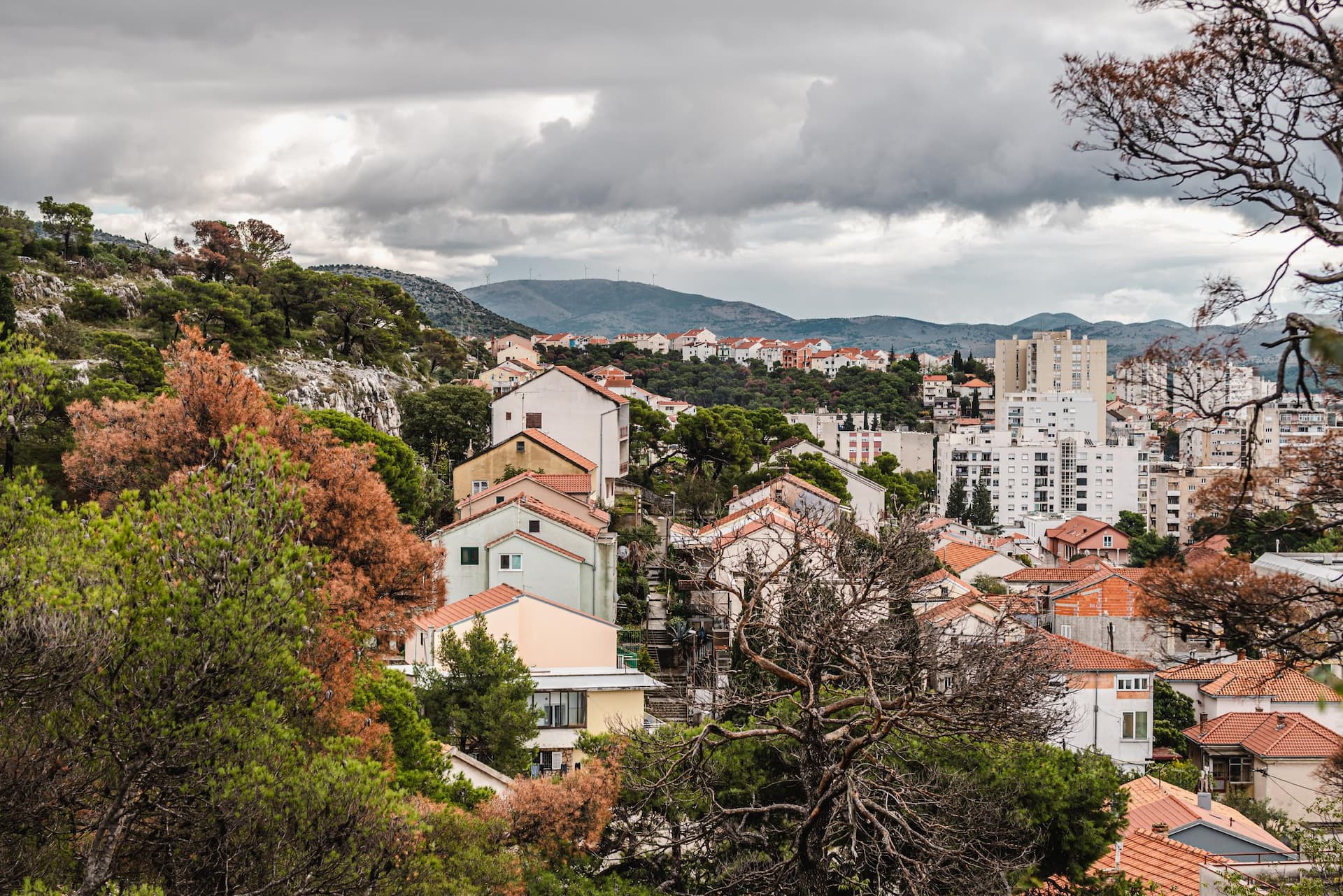 Okreće na buru