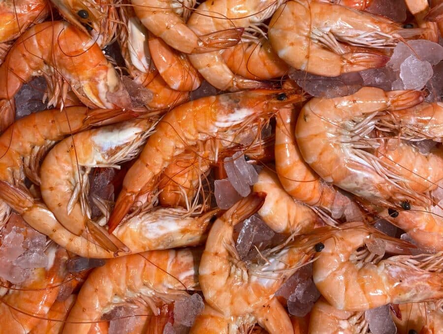 U smrznutim kozicama pokušao prokrijumčariti 18 kilograma kokaina