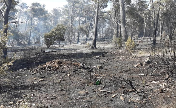 Požar na Braču lokaliziralo 38 vatrogasaca i dva kanadera 