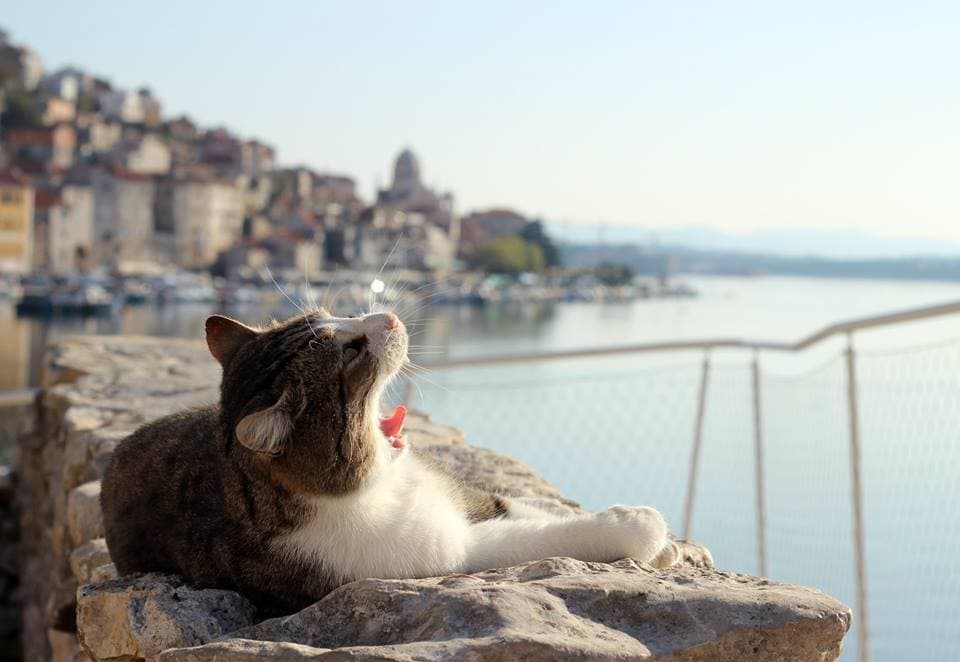 Dosta vruće uz crveno upozorenje bit će i danas, a sutra još paklenije