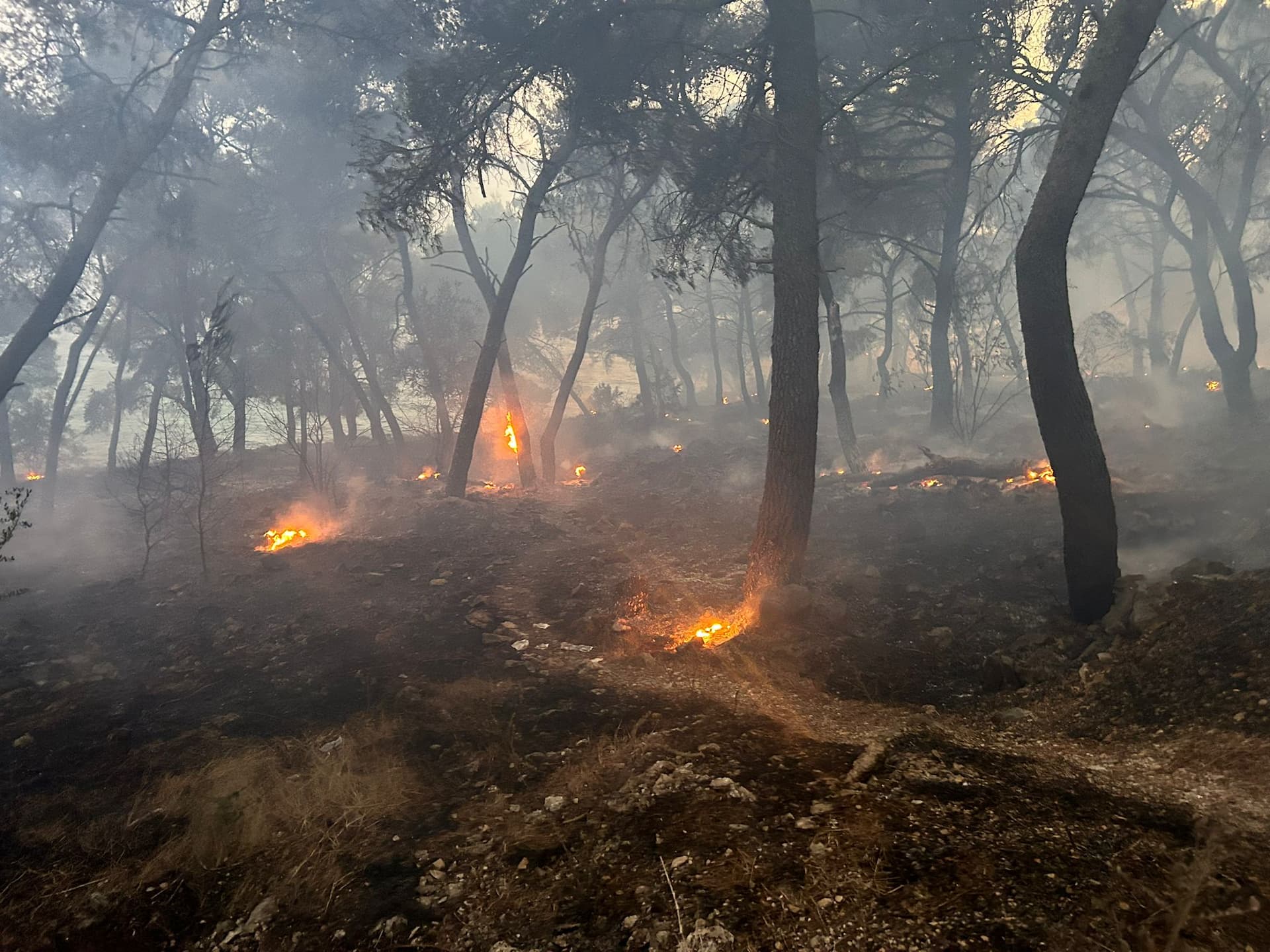 Požar kod Trogira ugrozio kuće
