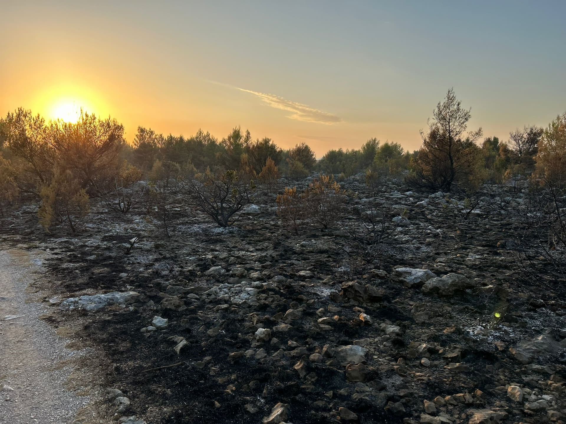 U katastrofalnom požaru u skradinskom zaleđu stradale i brojne životinje