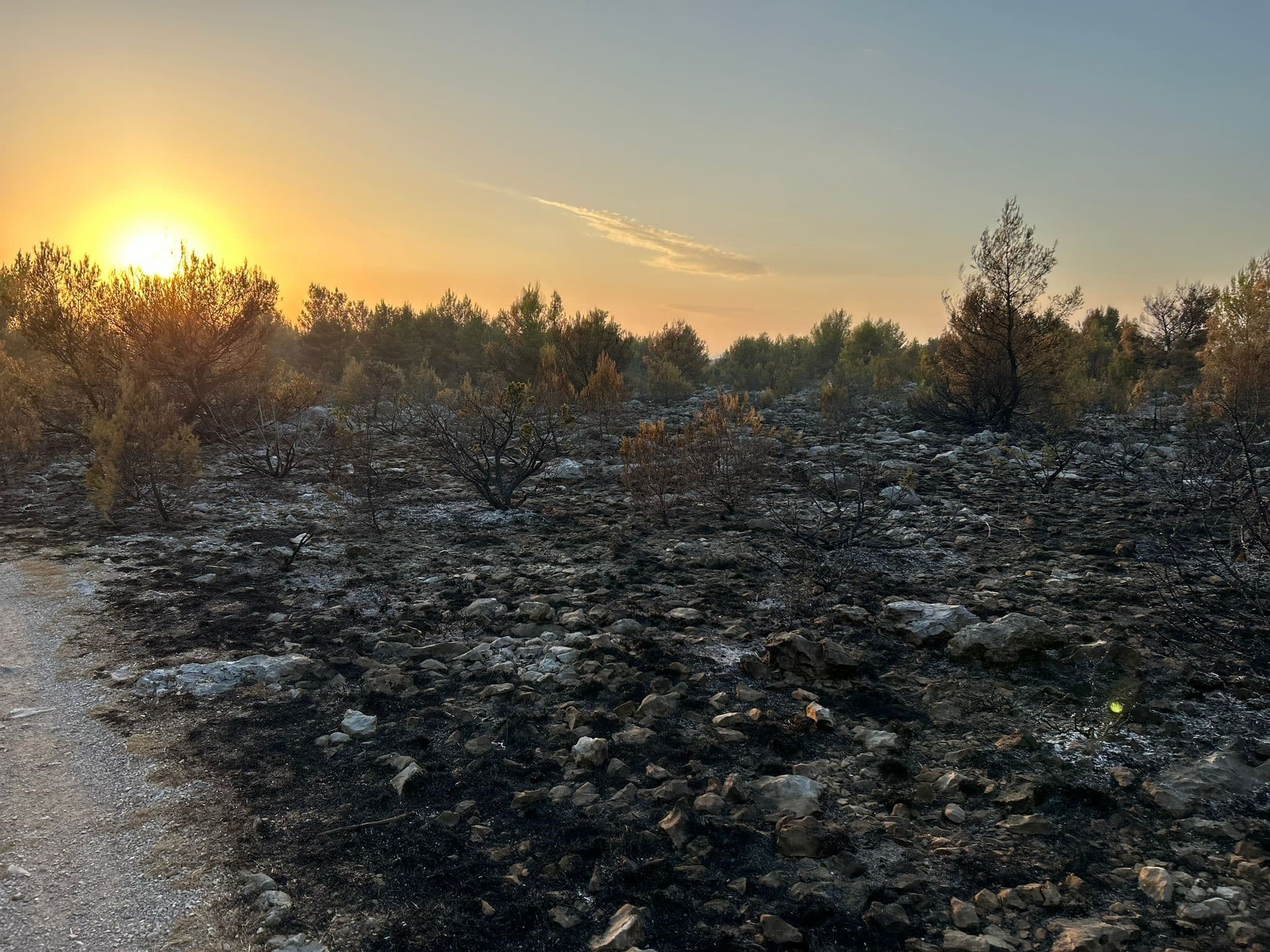 U katastrofalnom požaru u skradinskom zaleđu stradale i brojne životinje