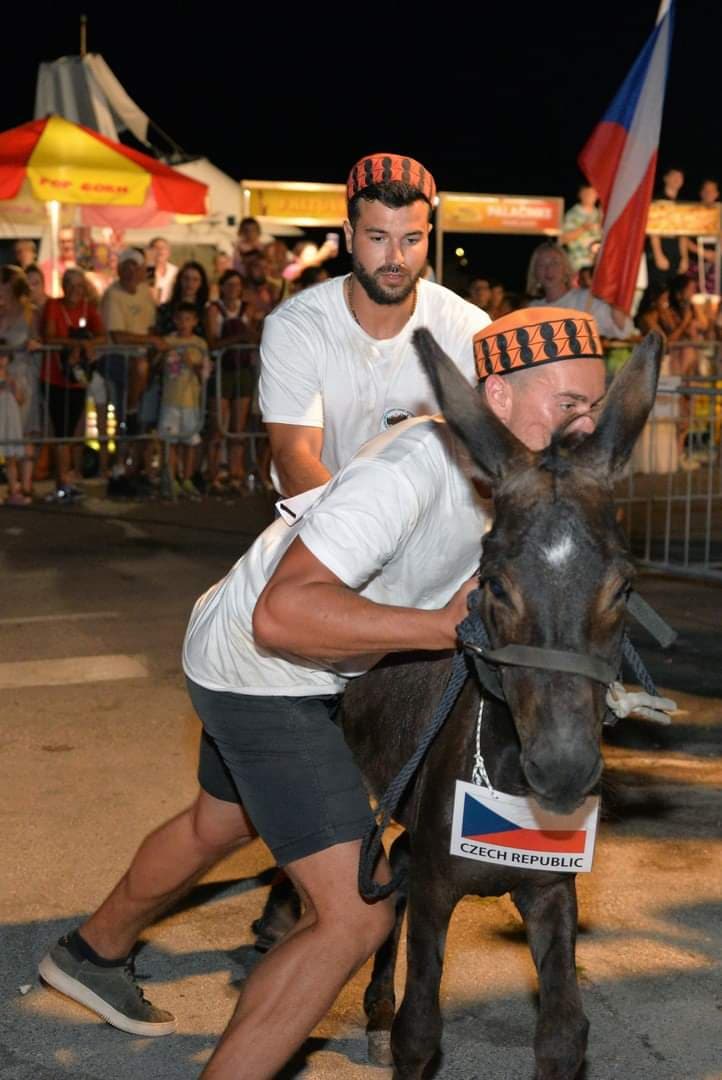 Prijatelji životinja traže ukidanje utrka tovara u Tribunju, Tisnom i drugim mjestima