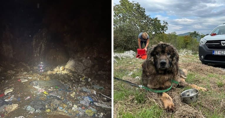 Iz 40 metara duboke jame kod Lećevice spasili šarplaninca