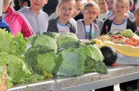 Poskupio i kupus, sarma postaje luksuz: Za kilogram i do pet eura 