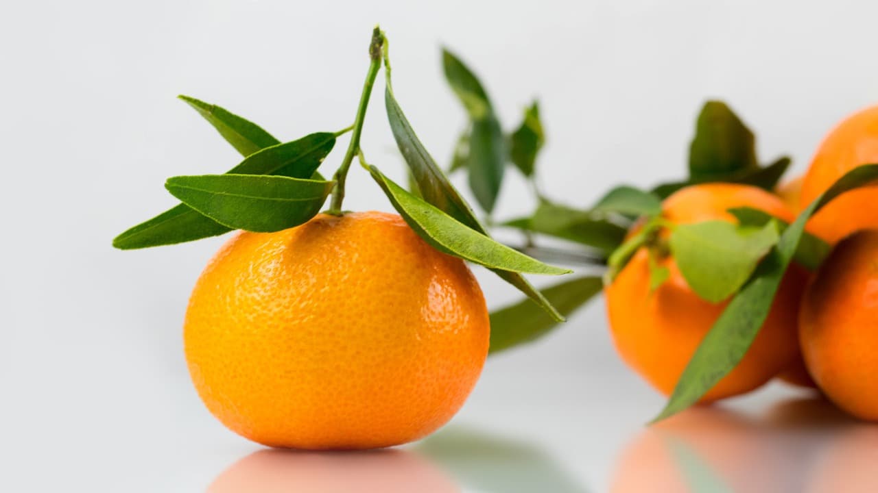 Prvi put u povijesti mandarina se bere uz ljetne temperature