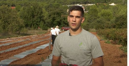  Agronom iz Dubrave kraj Šibenika krenuo u plantažni uzgoj divljih šparoga