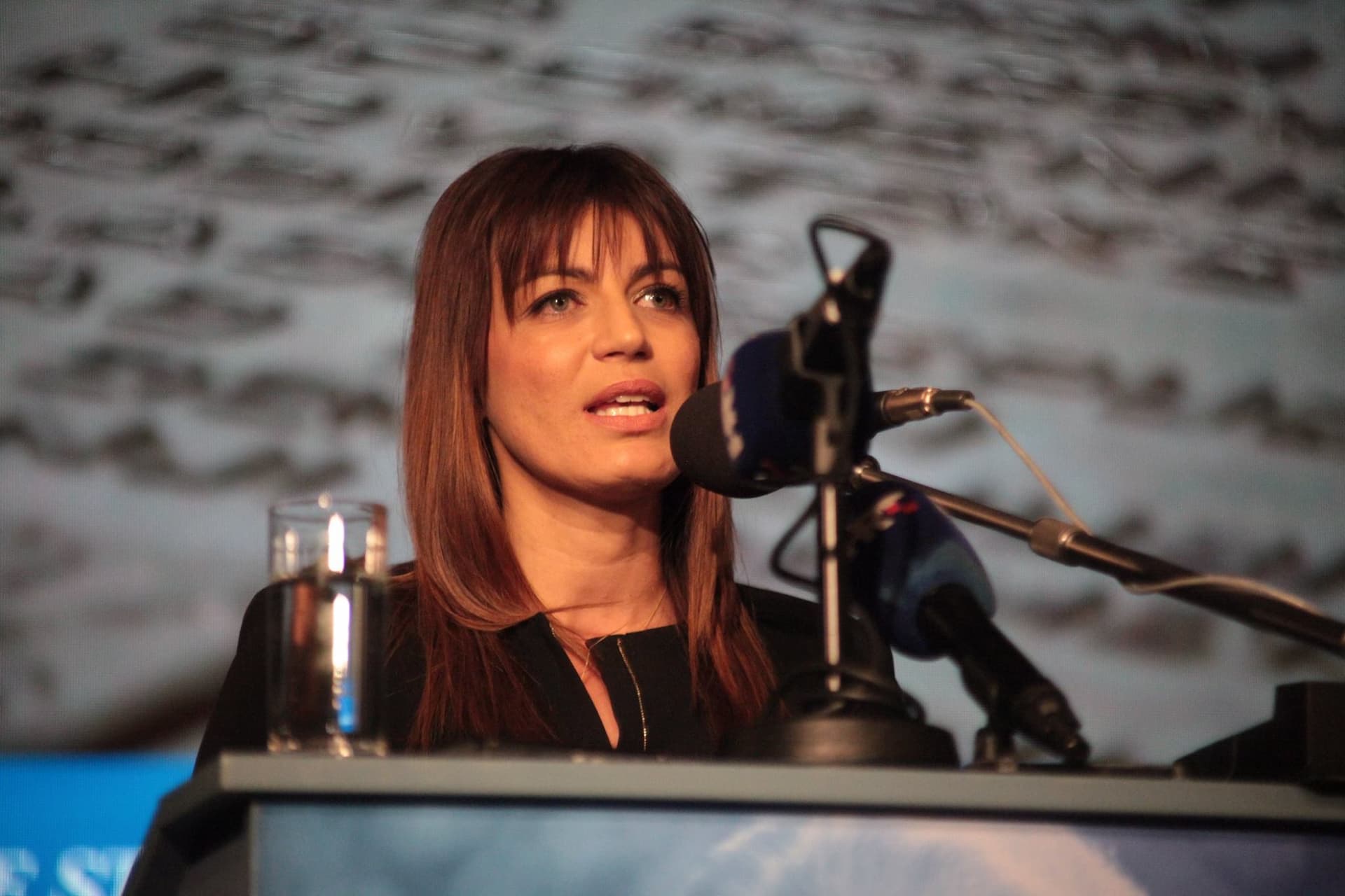 Josipa Rimac nije uspjela: Poruke u kojima se spominje i AP zakoniti dokazi