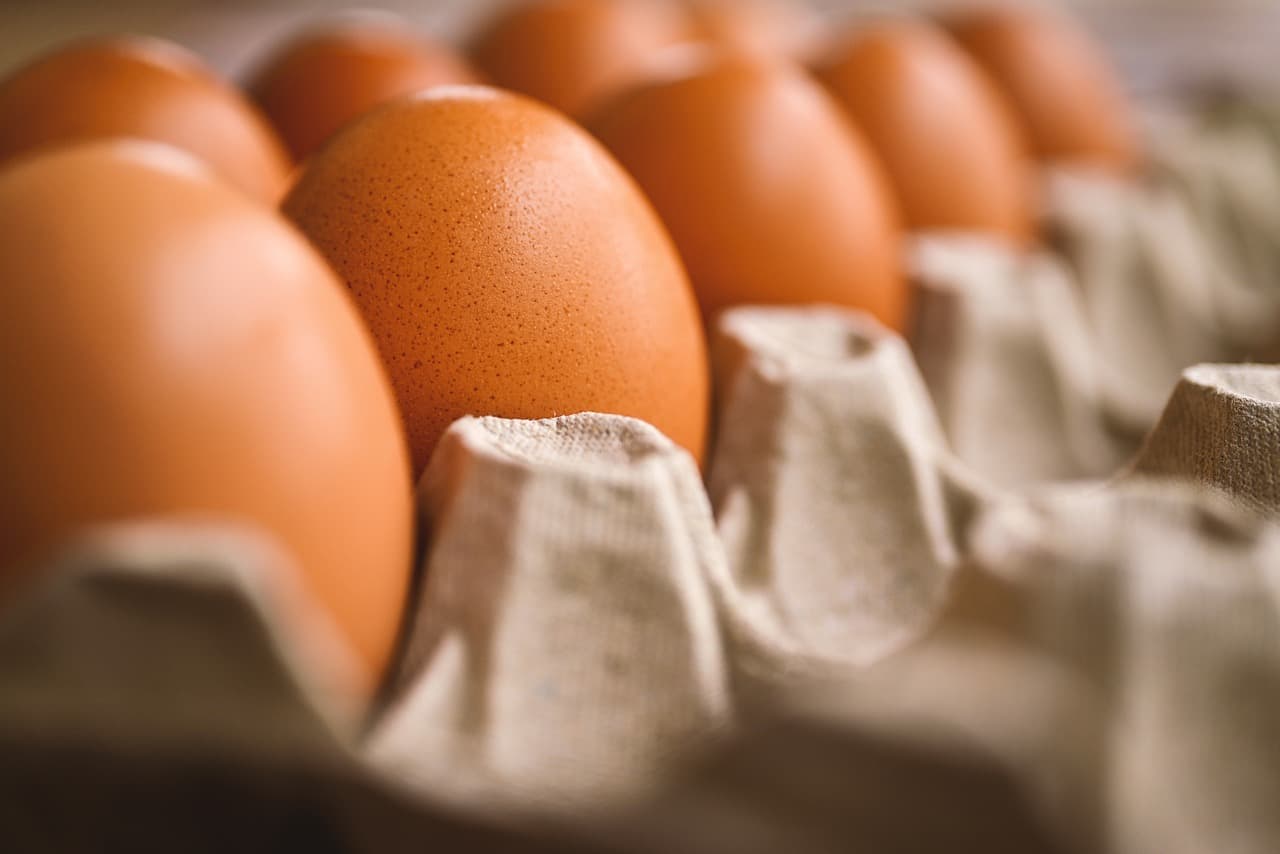 Važna obavijest trgovačkog lanca: U jajima pronađena salmonela, javite se doktoru ako imate ove simptome