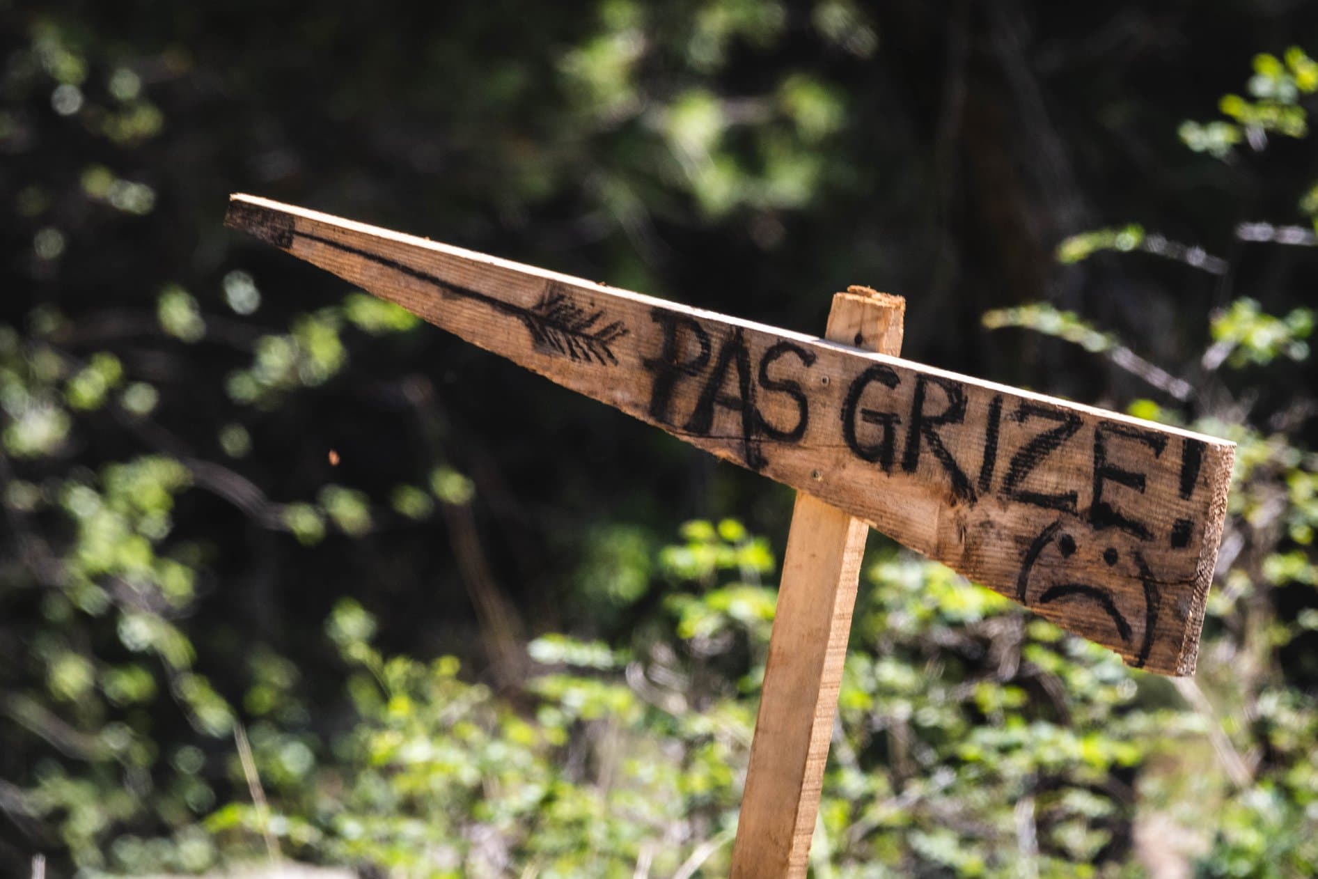 Pas u Šibeniku ugrizao ženu (31) za šaku, vlasnik (43) kazneno prijavljen