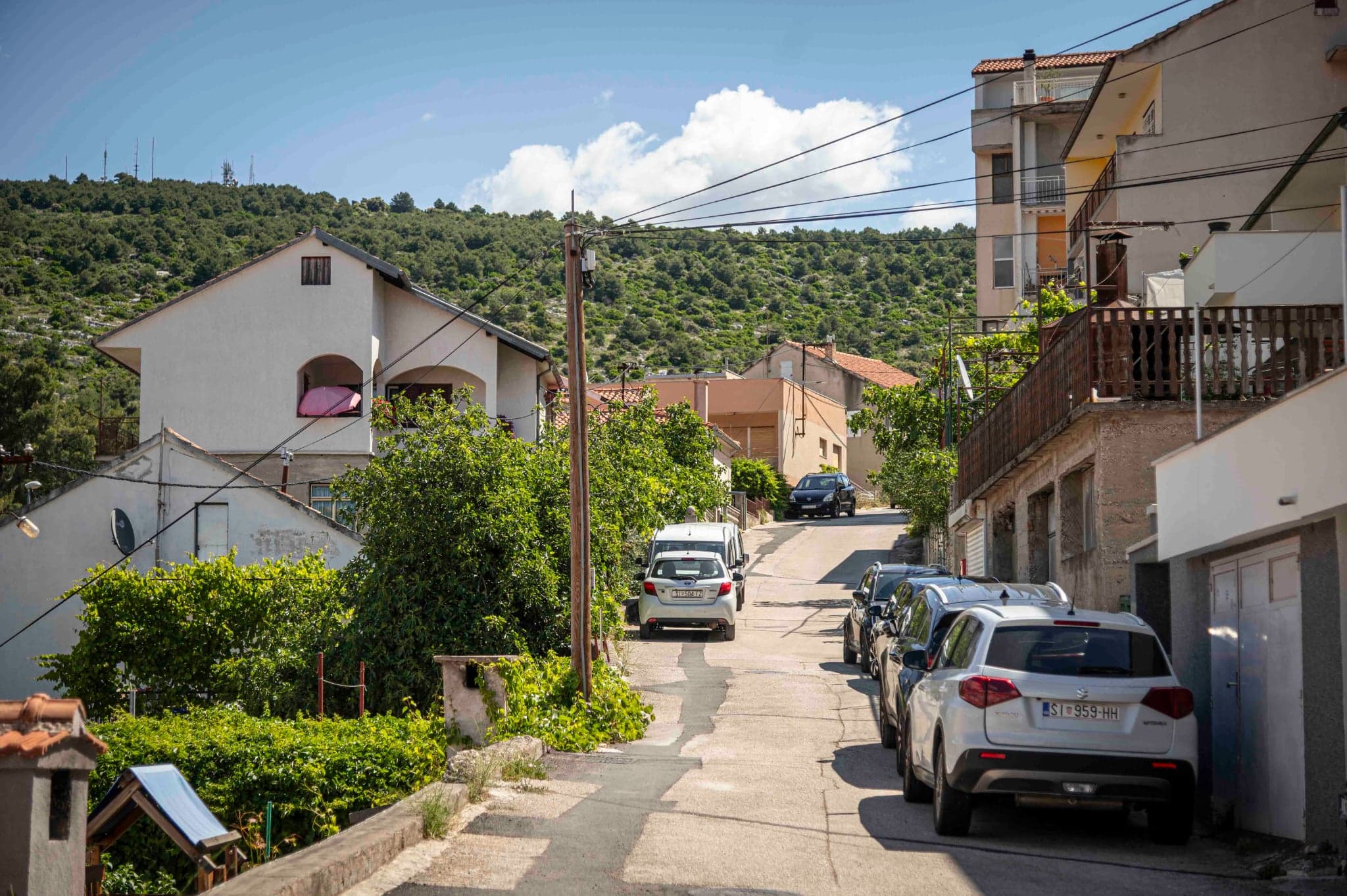 rokici