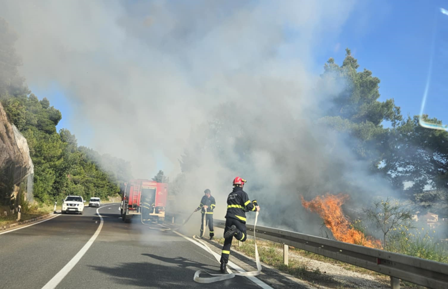 Požar u Žaboriću lokaliziran, gorjela trava i nisko raslinje