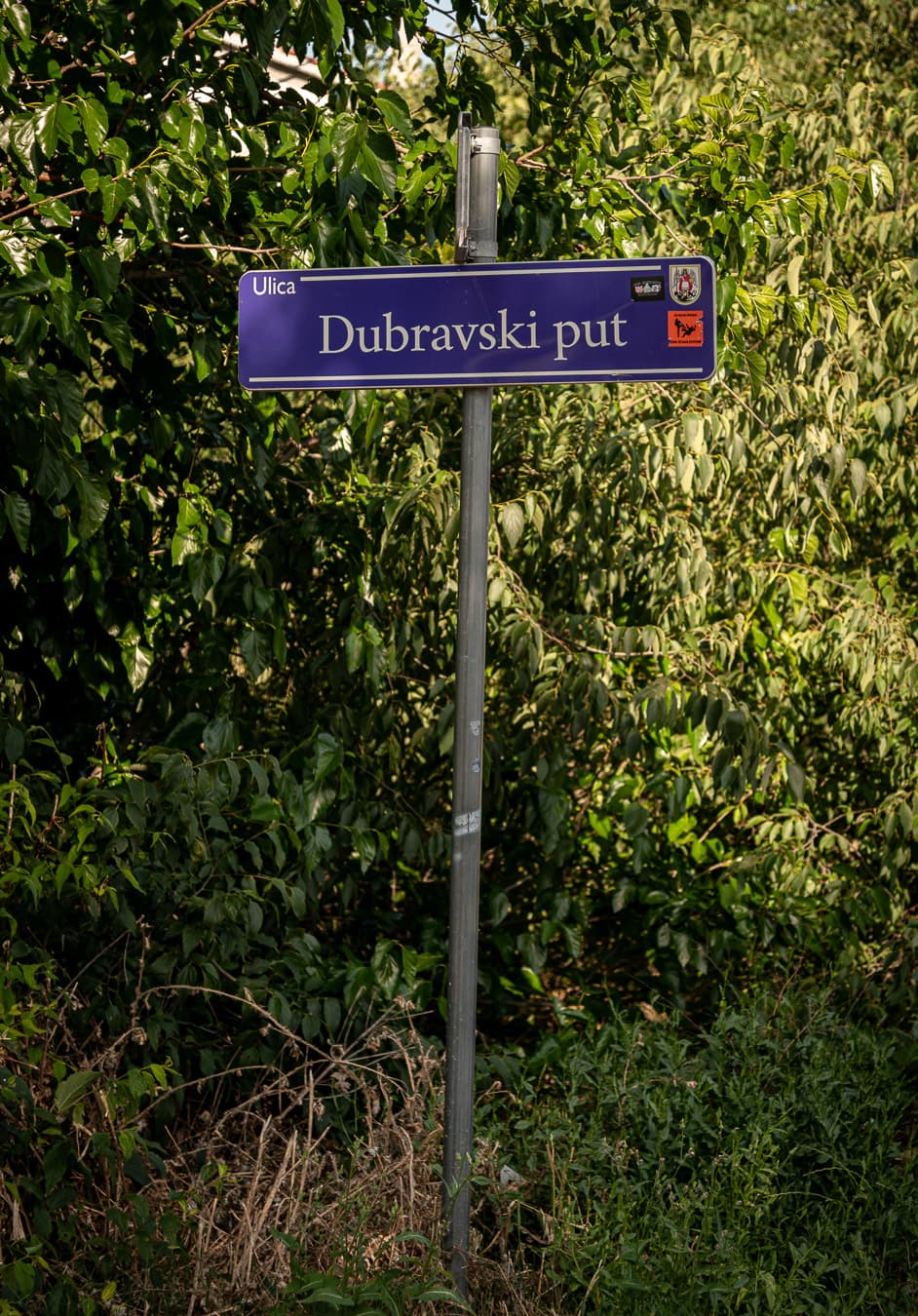 DSC_1341