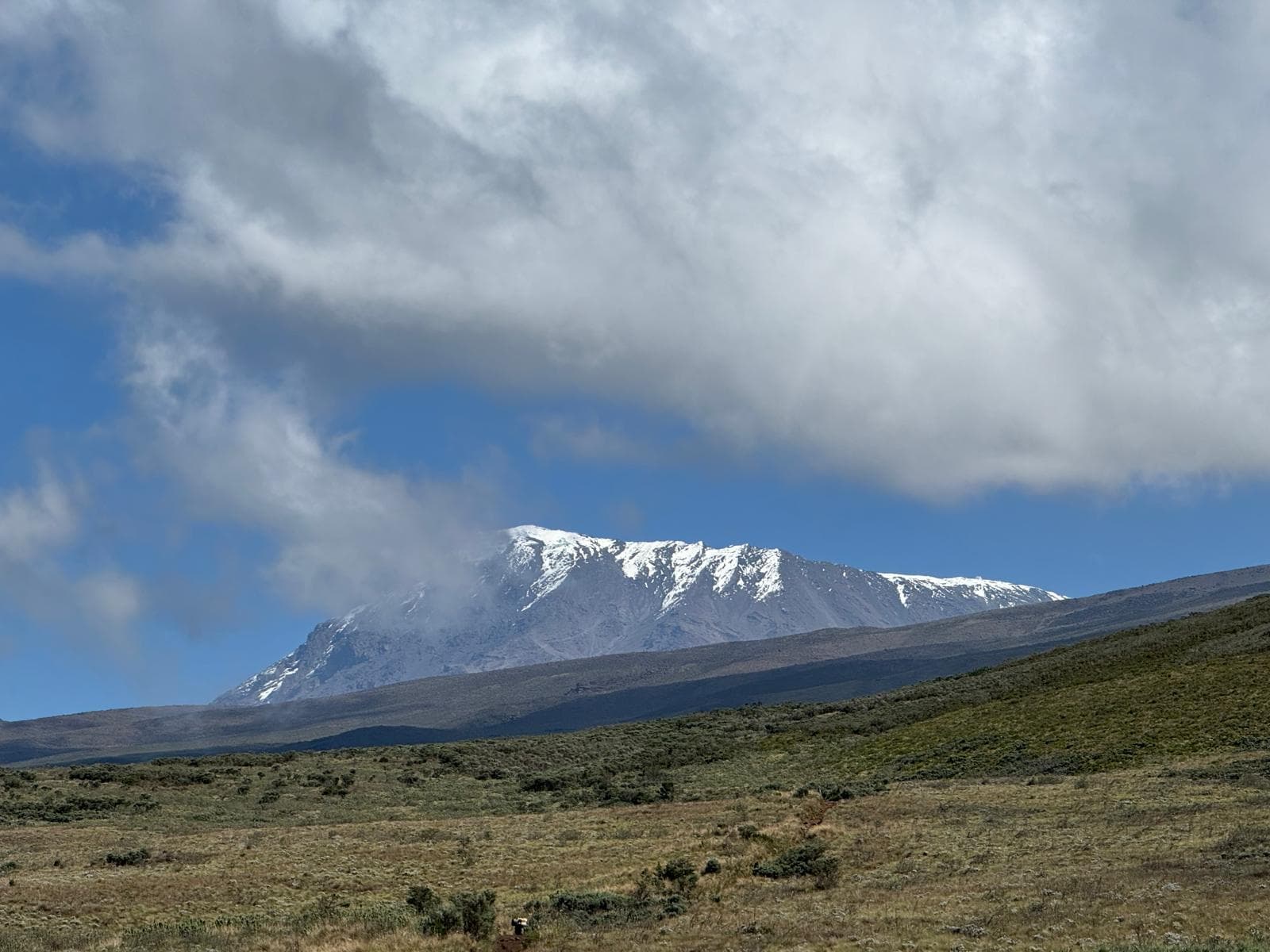 IMG-20250607-WA0011