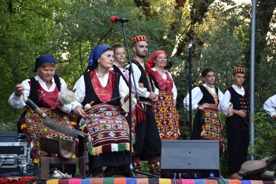 zvina1