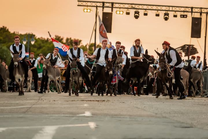 Magareće trke
